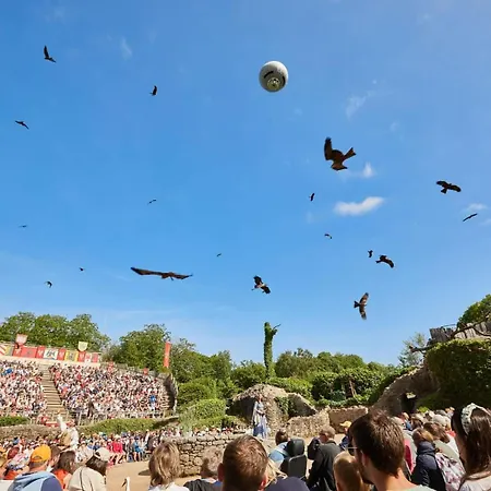 Le Petit Herisson Joli Au Rez-de-jardin A